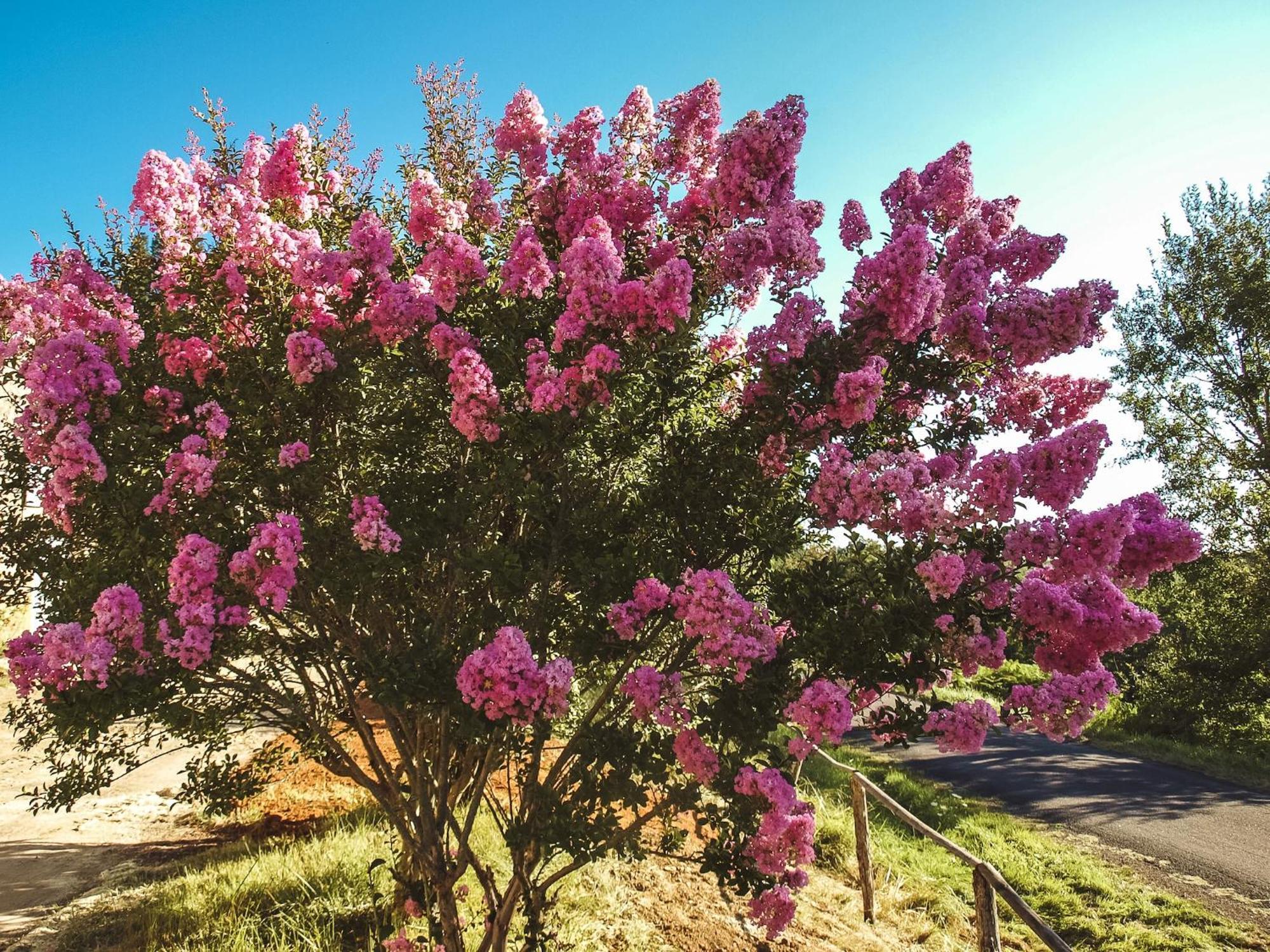 Lovely In Le Moustier With Terrace Holiday home Peyzac-le-Moustier