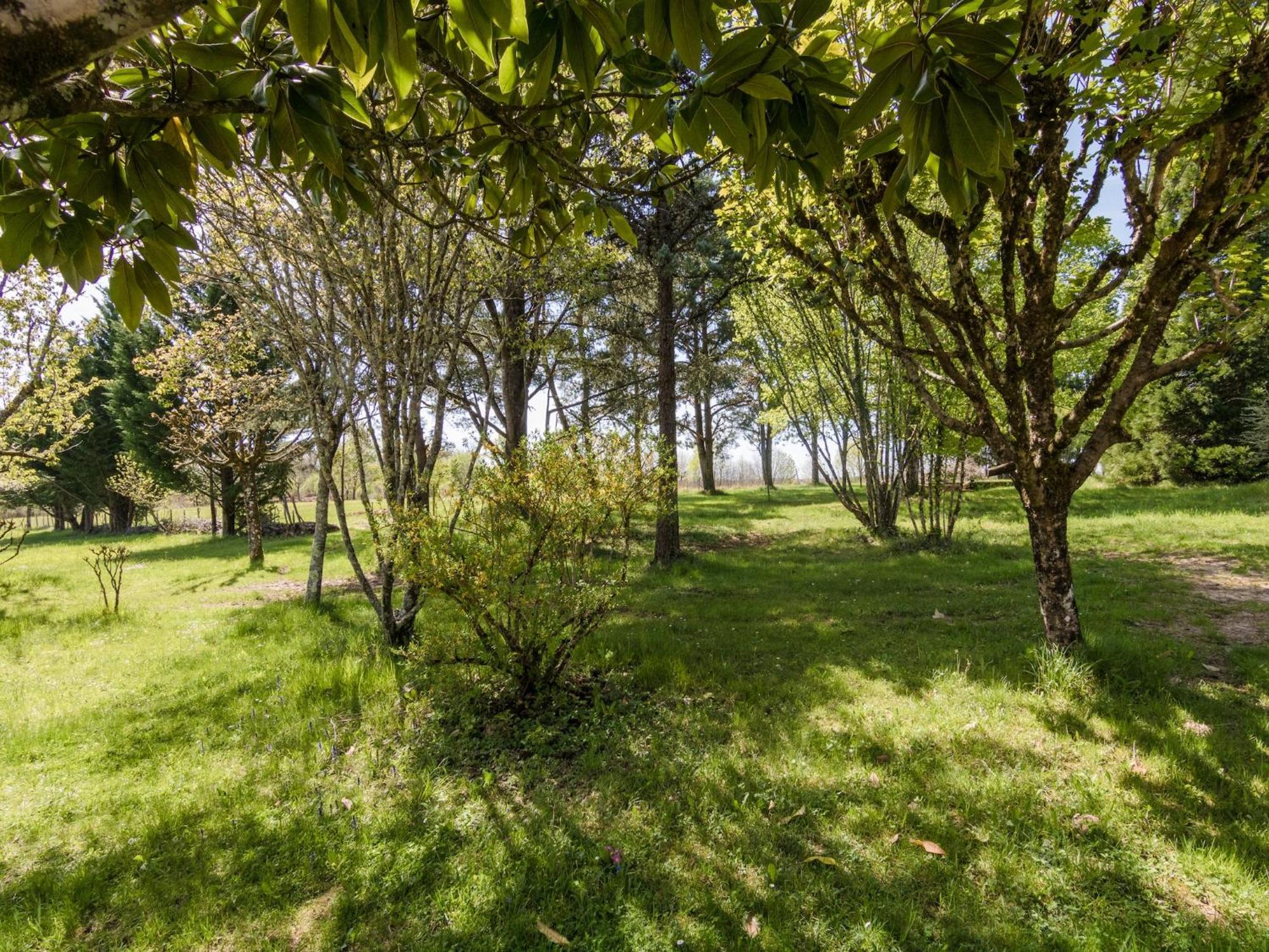Lovely In Le Moustier With Terrace